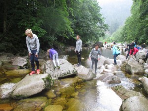 Canyonig, Schwarzwald, Wasser, Team, Steine, Freizeit